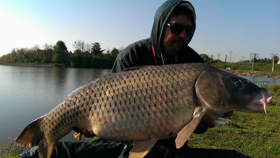 Hermes Peris 25 - 26 aprilie 2015 - 11165845991225764235647951826541n.jpg